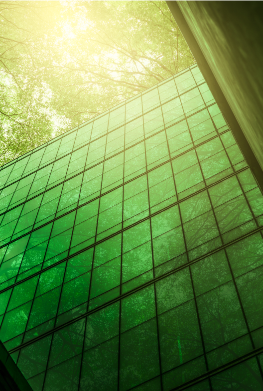 Cabañero & sostenibilidad